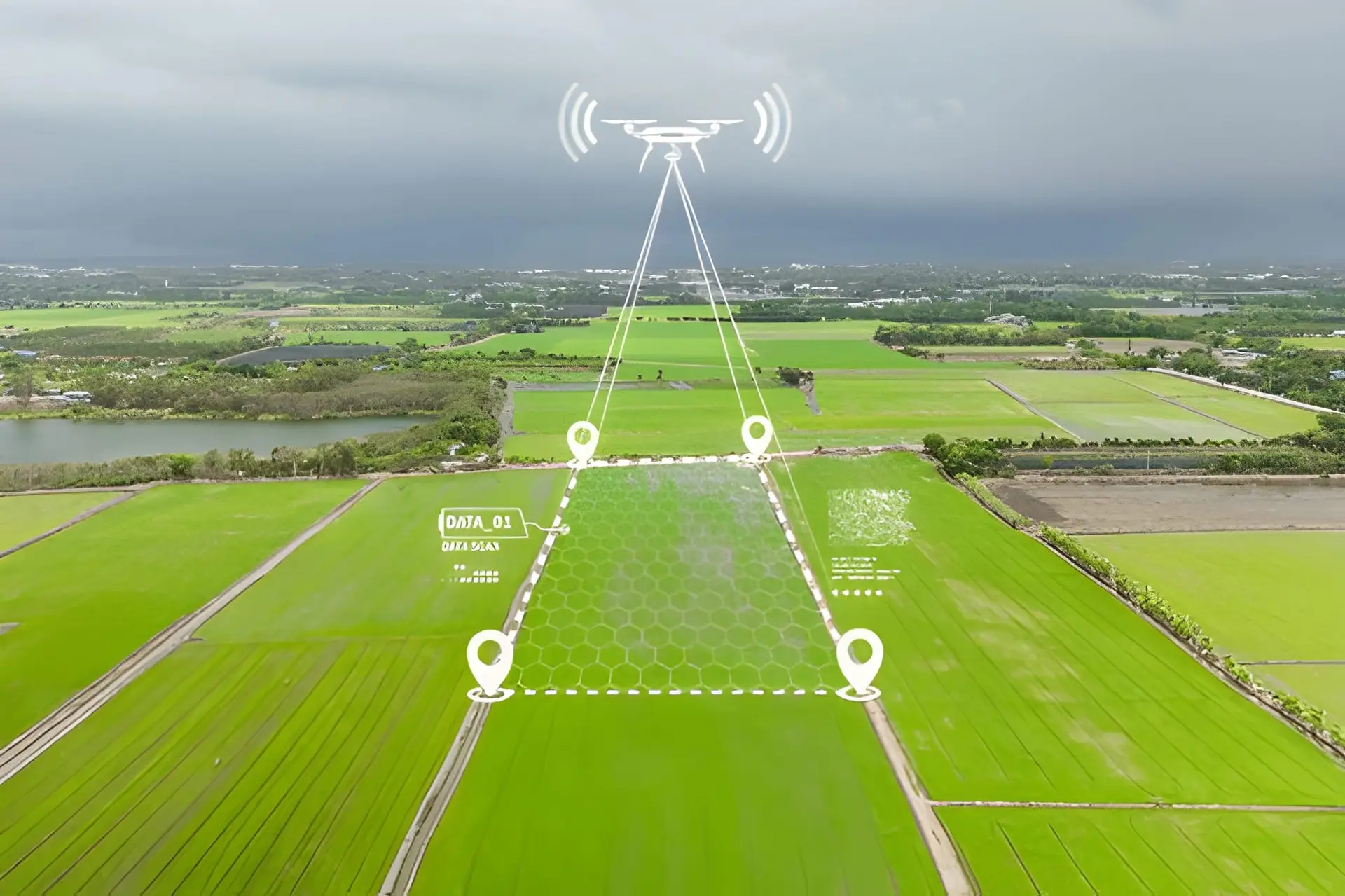 Drone Surveyor
